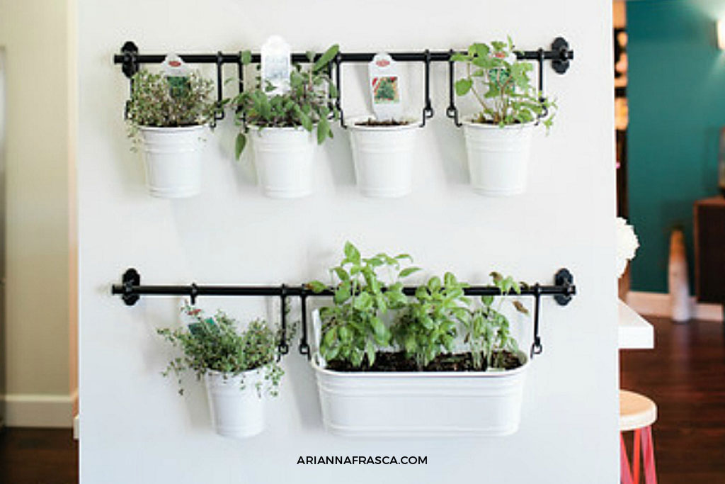 Tips For Set Up An Indoor Herb Garden, How To Set Up Indoor Herb Garden