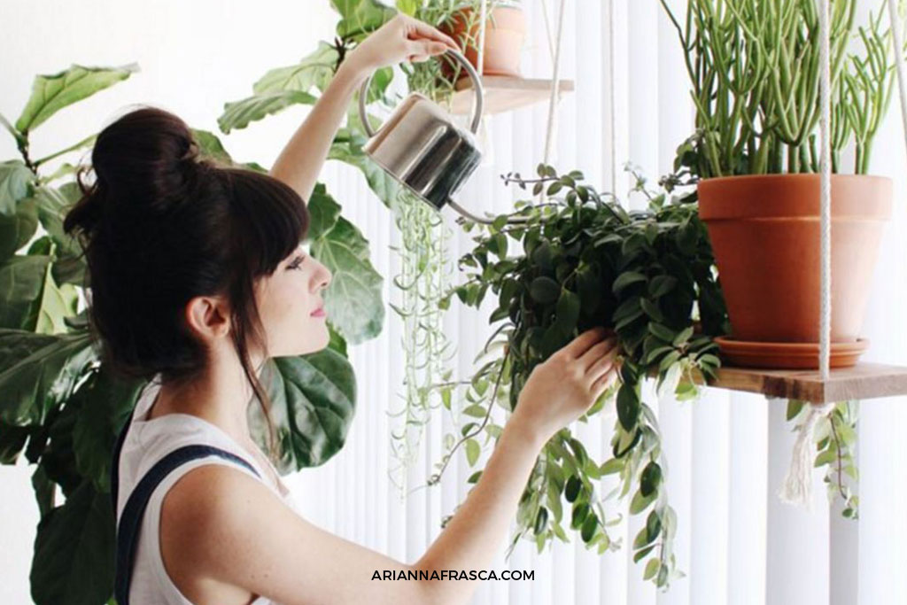 5 ways to decorate with plants